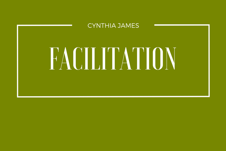 Cynthia James Facilitates Workshops and Seminars