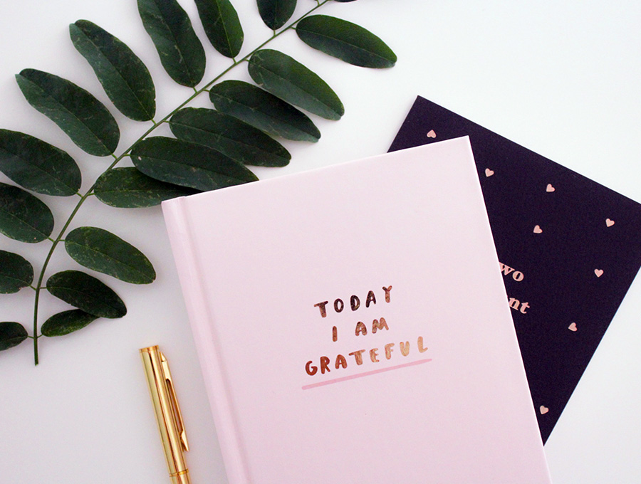 Gratitude in Little Bites