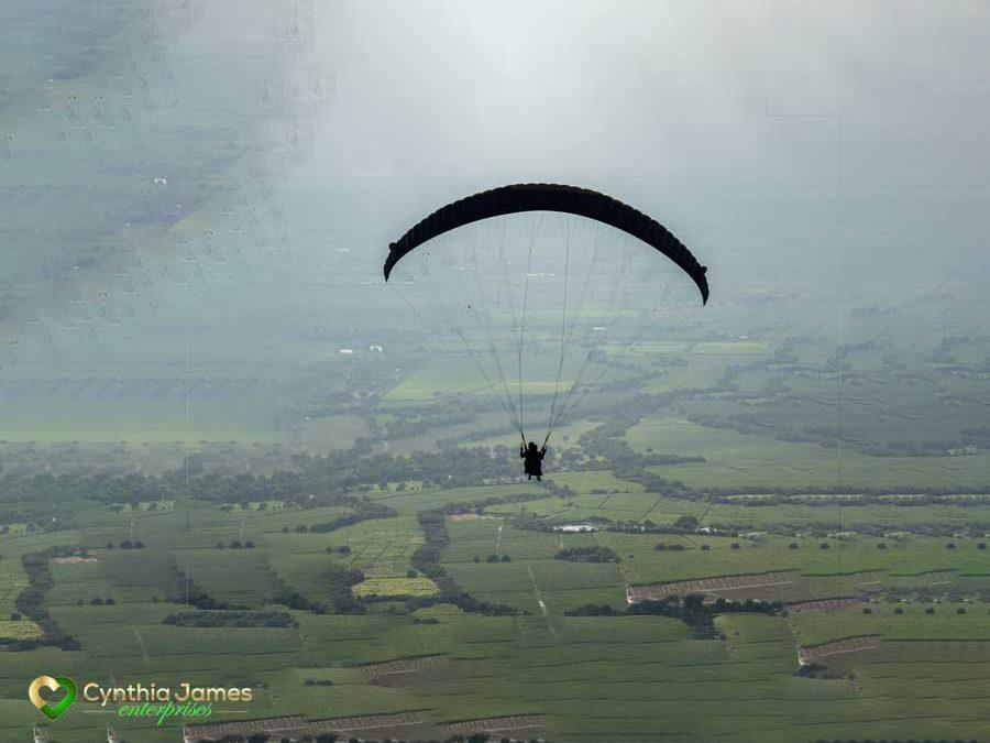 Soar Into 2024: Be A Disruptor