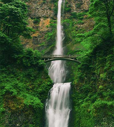 Do you love the planet?