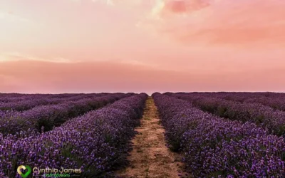 Spring Awakening: Reinventing Yourself With Courage, Clarity, and Compassion