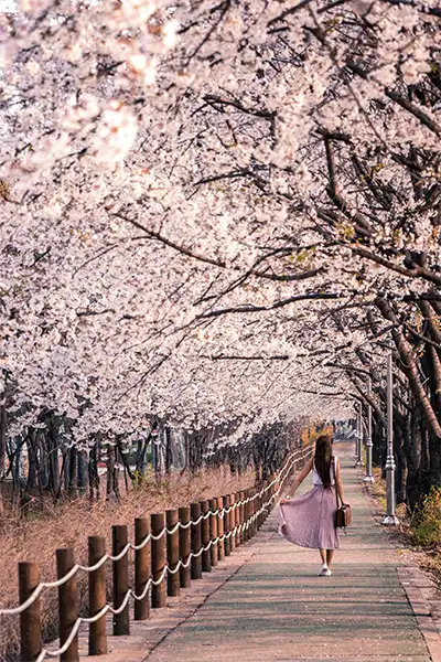 Spring reminds us that transformation is natural.