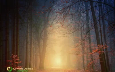 Before the Leaves Let Go