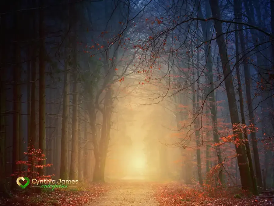 Before the Leaves Let Go