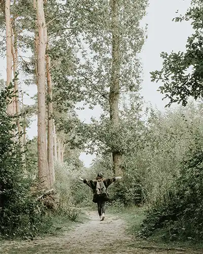 A person walking through the woods